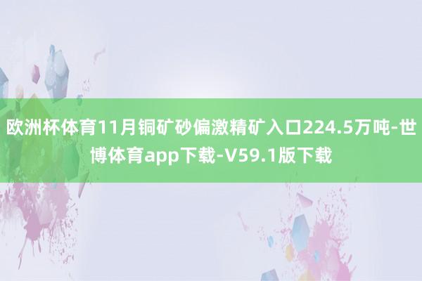 欧洲杯体育11月铜矿砂偏激精矿入口224.5万吨-世博体育app下载-V59.1版下载